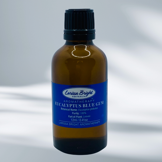 BULK 50ml Eucalyptus Blue Gum Essential Oil Save 20%