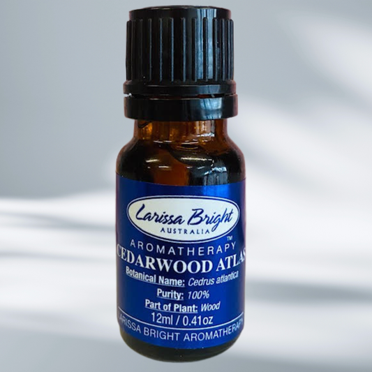 Cedar Wood Atlas Essential Oil