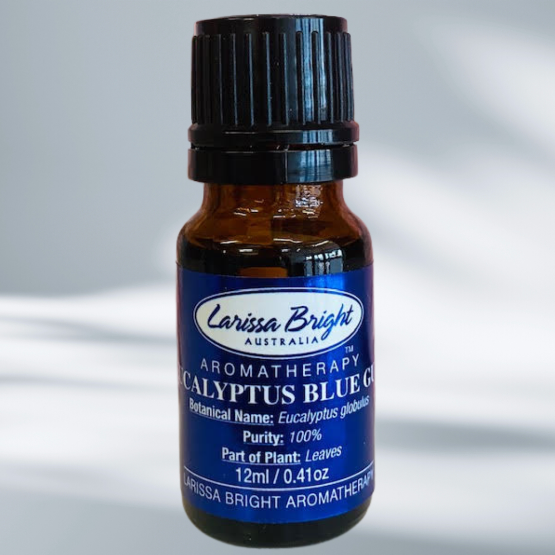 Eucalyptus Blue Gum Essential Oil