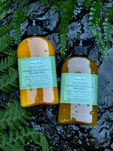 Coconut Delights: Lush Natural Haircare Kit - Larissa Bright Australia