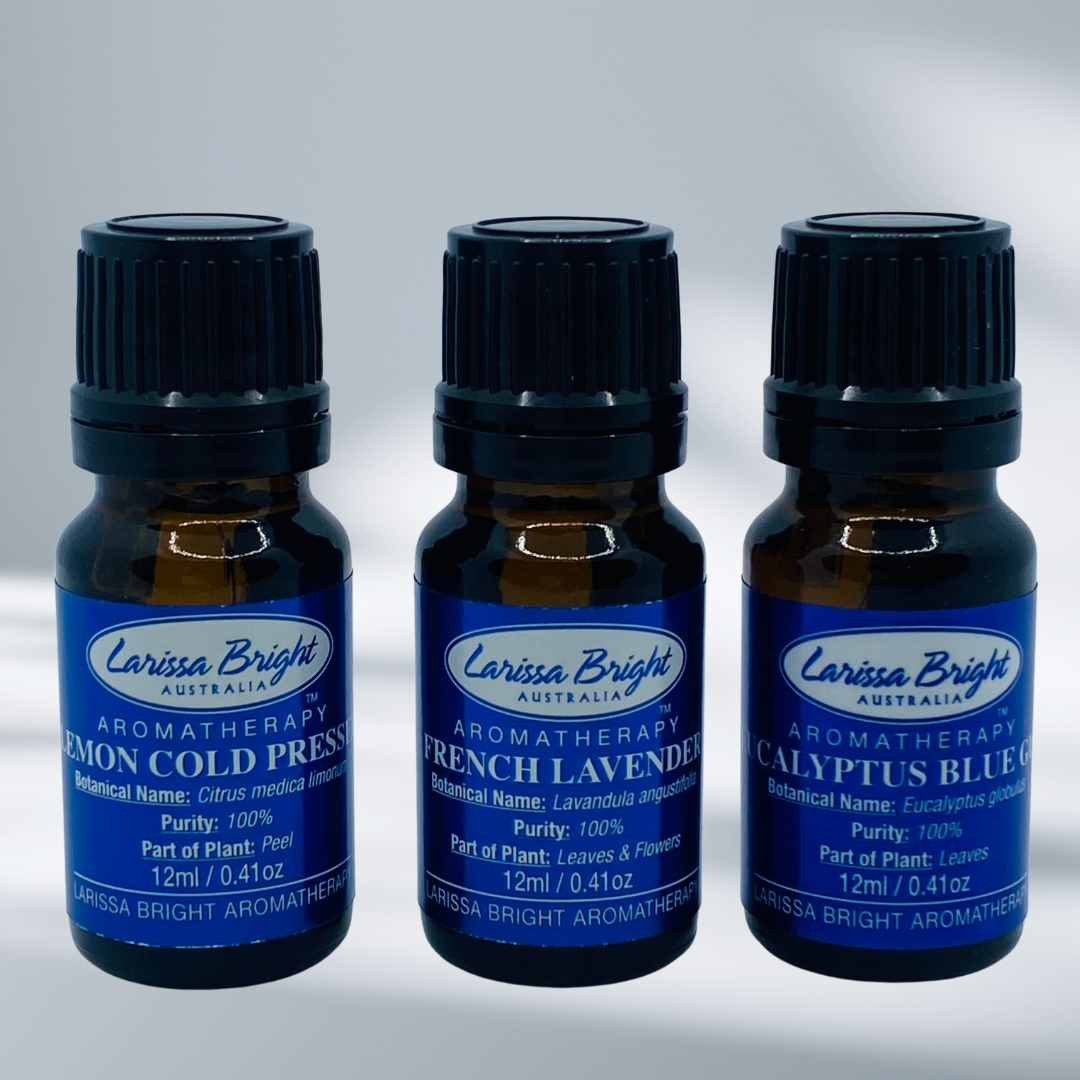 Non Toxic Home Cleaning Kit