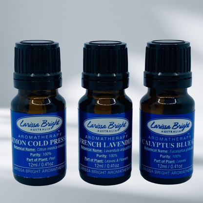 Non Toxic Home Cleaning Kit