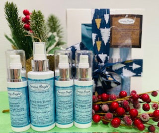 4 STEP STARTER KIT SAVE 10% - Larissa Bright Australia