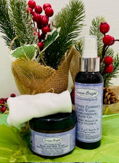 Mini Manicure Kit SAVE 10% - Larissa Bright Australia