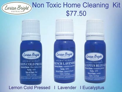 Non Toxic Home Cleaning Kit - Larissa Bright Australia
