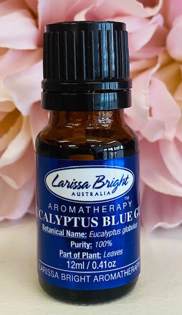 Eucalyptus Blue Gum Essential Oil - Larissa Bright Australia
